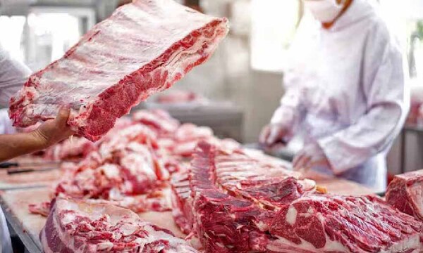 Paraguay exportará carne bovina al mercado mexicano desde el 2025 – Prensa 5