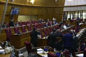 Diputados elevan de 3 a 10 años cálculo para la jubilación de IPS - Política - ABC Color