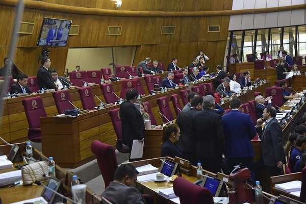 Diputados aprobó su propia versión de la reforma a la ley de Mipymes y vuelve al Senado - Economía - ABC Color