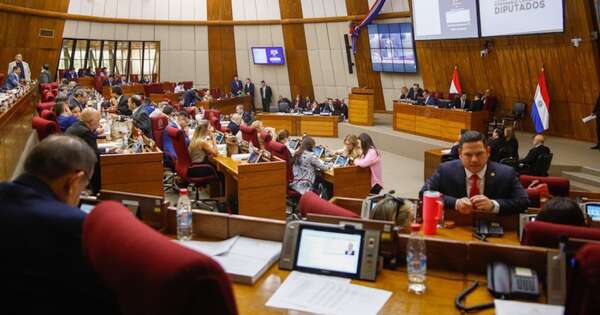 La Nación / Diputados aprueba con modificaciones ley de mipymes