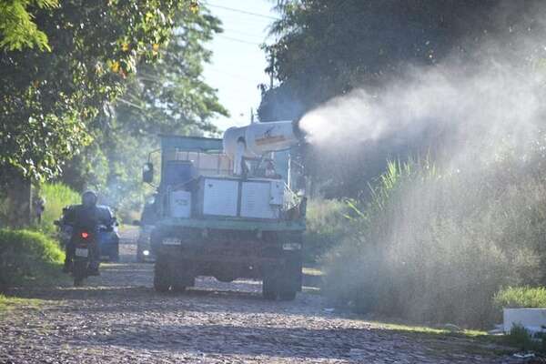 Villa Elisa: ante los primeros casos positivos de dengue, inicia fumigación y minga - Nacionales - ABC Color