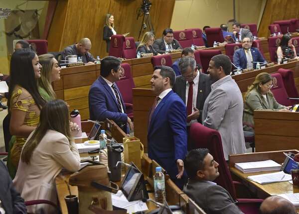 Aprueban leyes de bienestar animal, terapia ocupacional y monopolio de quiniela - Política - ABC Color