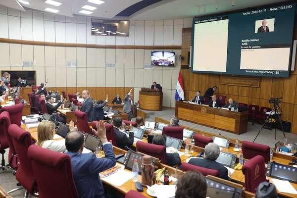 Gafilat: opositores intentarán aprobar pedidos de informes sobre polémico evento - Política - ABC Color