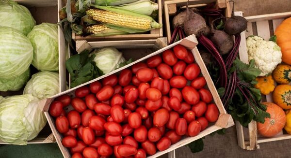 Paraguay aumentó la exportación agrícola  28% en el 2024