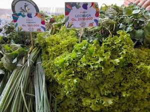 Ofertan productos en Ferias “Ary paha, Fiestas con Sabor a Campo” en San Lorenzo y en el Multiplaza - .::Agencia IP::.