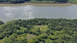 Ñacunday: Detectan cultivos de marihuana a orillas del río Paraná