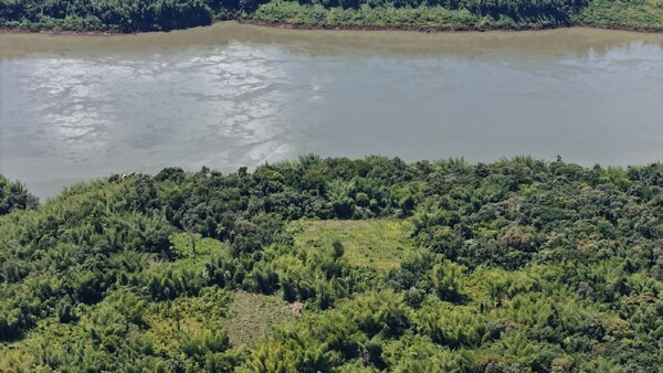 Ñacunday: Detectan cultivos de marihuana a orillas del río Paraná