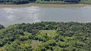 Eliminan dos hectáreas de cultivos de marihuana a orillas del río Paraná - ABC en el Este - ABC Color
