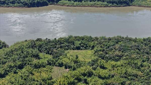Eliminan dos hectáreas de cultivos de marihuana a orillas del río Paraná - ABC en el Este - ABC Color