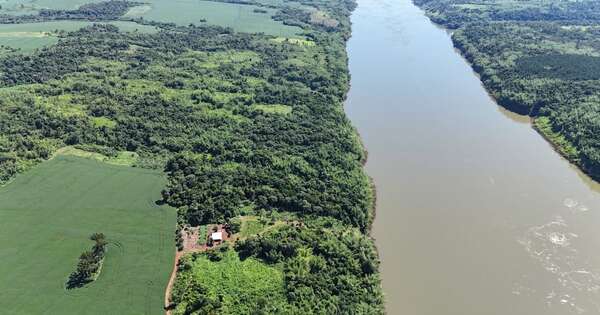 Diario HOY | Detectan cultivos de marihuana a metros de la frontera con Argentina