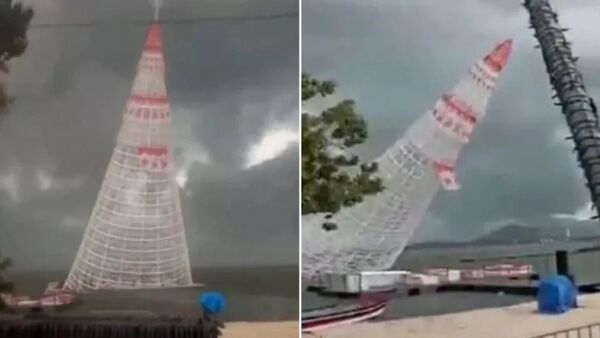 Joven murió tras caída de un árbol navideño gigante