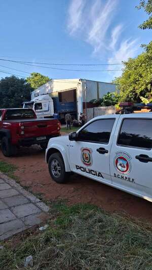 Incautan gran cantidad de productos de contrabando de un depósito en Ñemby - Policiales - ABC Color