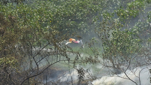 Incendio en Costanera de Asunción: Peligro Controlado