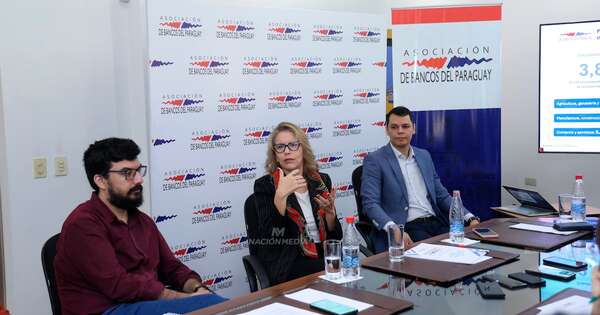 La Nación / Banca paraguaya cierra el 2024 con aumento del 16 % en créditos concedidos