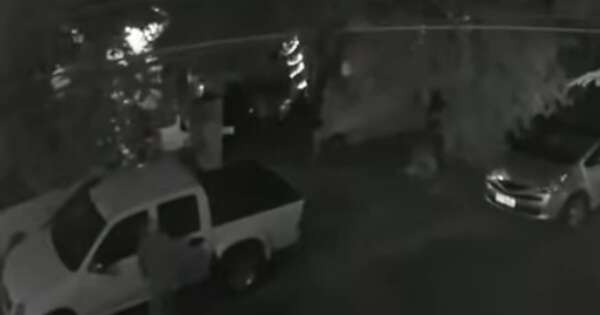 Diario HOY | Ni la Policía se salva de los robacoches: hurtan patrullera de la vía pública