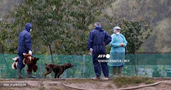 La Nación / EE. UU. confirma primer caso grave de gripe aviar en humanos
