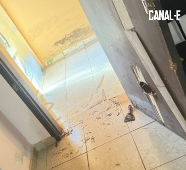 LADRONES VACÍAN MINISTERIO DE LA MUJER EN CDE