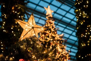 Un milagro en la Navidad de 1942 | Columnas | 5Días