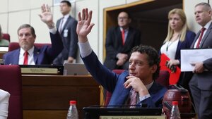 Senado sanciona cuestionado proyecto sobre el voto de paraguayos en el exterior