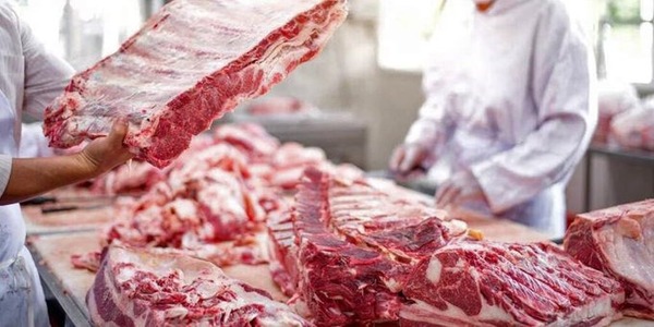 Sector cárnico paraguayo apunta a mayores mercados y mejores precios - ADN Digital
