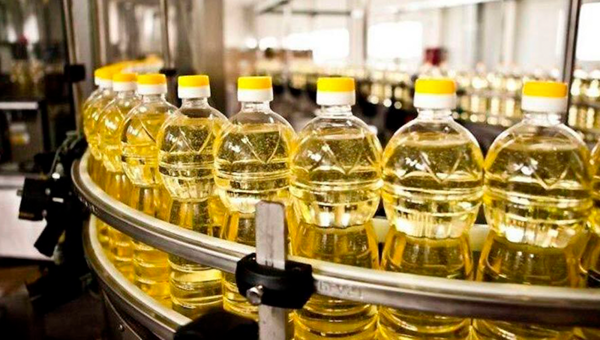 Procesadores de oleaginosas y cereales estiman producción récord de soja en 2025 (y más procesamiento local)