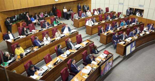 La Nación / Sancionan ley de la función pública y nuevo cálculo jubilatorio del IPS