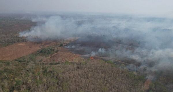 INFONA extiende el plazo de suspensión total de autorización de permisos de quema para evitar incendios forestales