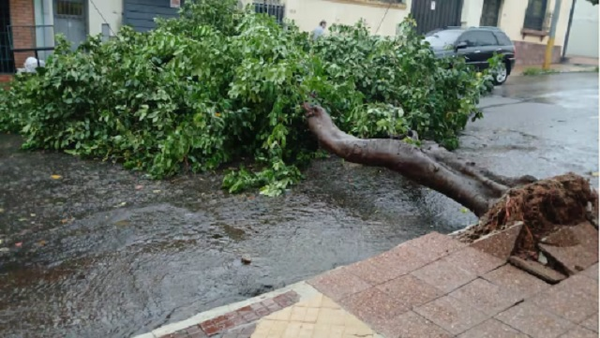Lluvias dejan árboles caídos, raudales y caos en Asunción - Noticiero Paraguay