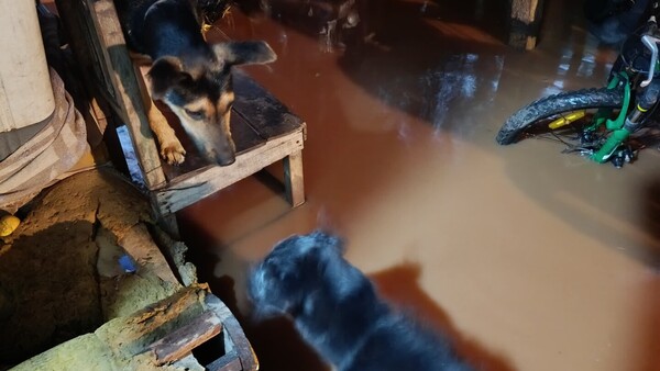 Más de 20 familias están bajo agua en Ypané