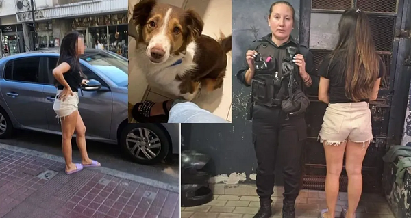 Dejó a su perro encerrado en el auto, el animal murió y ella terminó detenida - Noticiero Paraguay