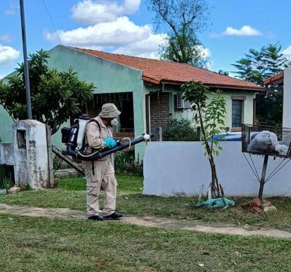 Senepa insta a eliminar criaderos de mosquito y mantener la limpieza en las ciudades de Cordillera - Nacionales - ABC Color