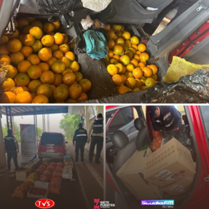 INCAUTAN MERCADERÍAS Y VEHÍCULO EN OPERATIVO CONTRA EL CONTRABANDO EN LA RUTA PY 06 - TVS