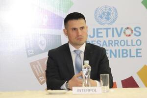 Unos 26 detenidos en operativo de Interpol contra delitos contra el ambiente - 1000 Noticias