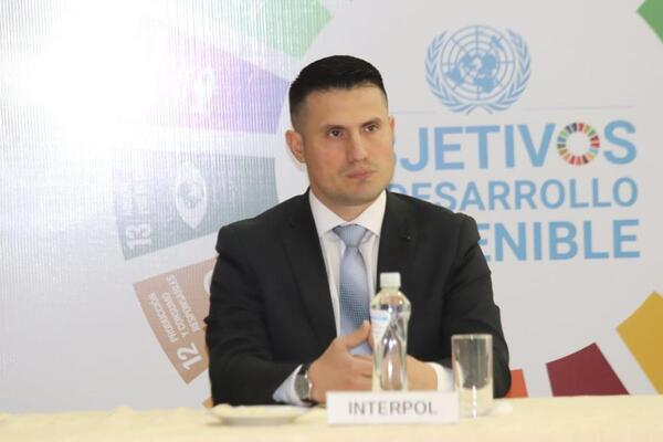 Unos 26 detenidos en operativo de Interpol contra delitos contra el ambiente - 1000 Noticias