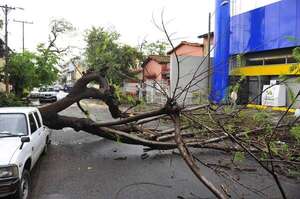 Meteorología anuncia lluvias y tormentas en seis departamentos: ¿cuáles son? - Clima - ABC Color