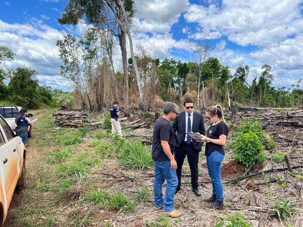 Tres años y seis meses de condena por delitos ambientales en Santa Rosa - 1000 Noticias