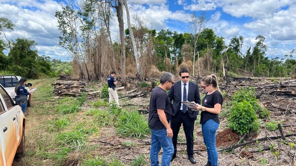 Condenados a 3 años y 6 meses de cárcel por delitos ambientales en Hernandarias