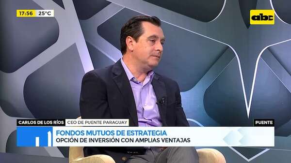 Fondos mutuos de estrategia: opción de inversión con amplias ventajas - Gente & Negocios - ABC Color