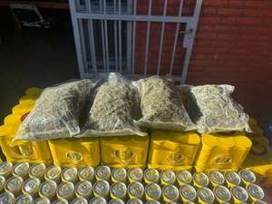 Incautan presunta marihuana que se quería introducir al penal de Misiones - Policiales - ABC Color
