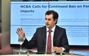 Marcelo González: “Paraguay puede asumir compromisos importantes con la cuota Hilton”