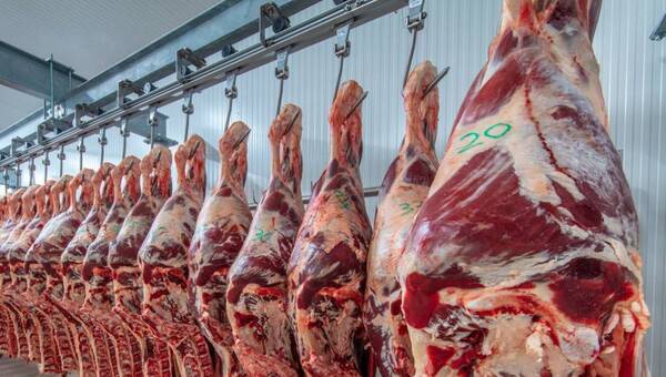 Mercado global de la carne: sostenida presión de China para pagar menos
