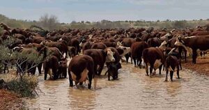 Lluvias y temperaturas altas marcan el verano 2025