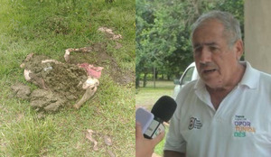 En su propio predio faenaron su vaca lechera y exige mayor presencia policial