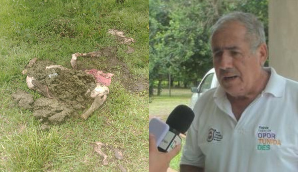 En su propio predio faenaron su vaca lechera y exige mayor presencia policial