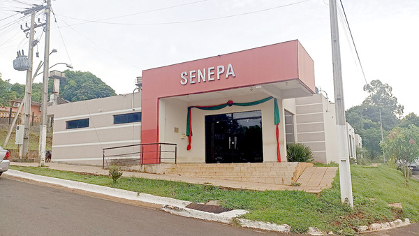 El SENEPA regional despide el año sin epidemia y casos positivos de dengue - La Clave