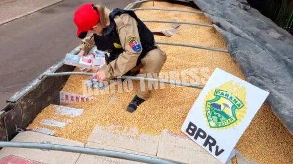 Incautaron cargamento de cigarrillo paraguayo de contrabando oculto bajo granos de maíz – Diario TNPRESS