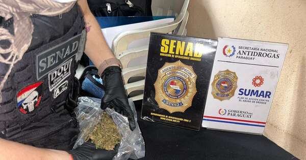 Diario HOY | Realizan tres allanamientos y detienen a microtraficantes