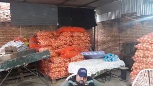 Incautan 27 toneladas de cebolla a punto de ser "nacionalizadas" ilegalmente - 1000 Noticias