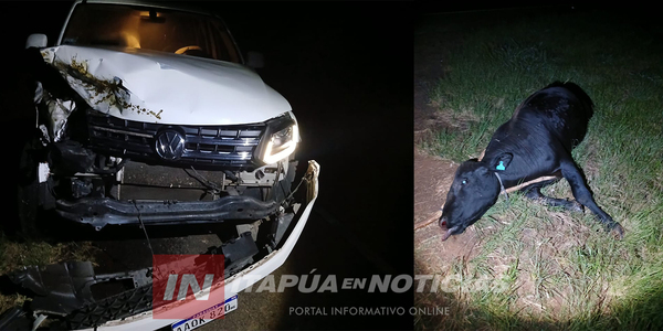 CAMIONETA IMPACTÓ CONTRA UN ANIMAL VACUNO EN CNEL. BOGADO - Itapúa Noticias