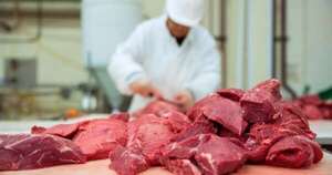 La Nación / Carne: afirman que multinacionales estarían intercediendo en fijación de precios